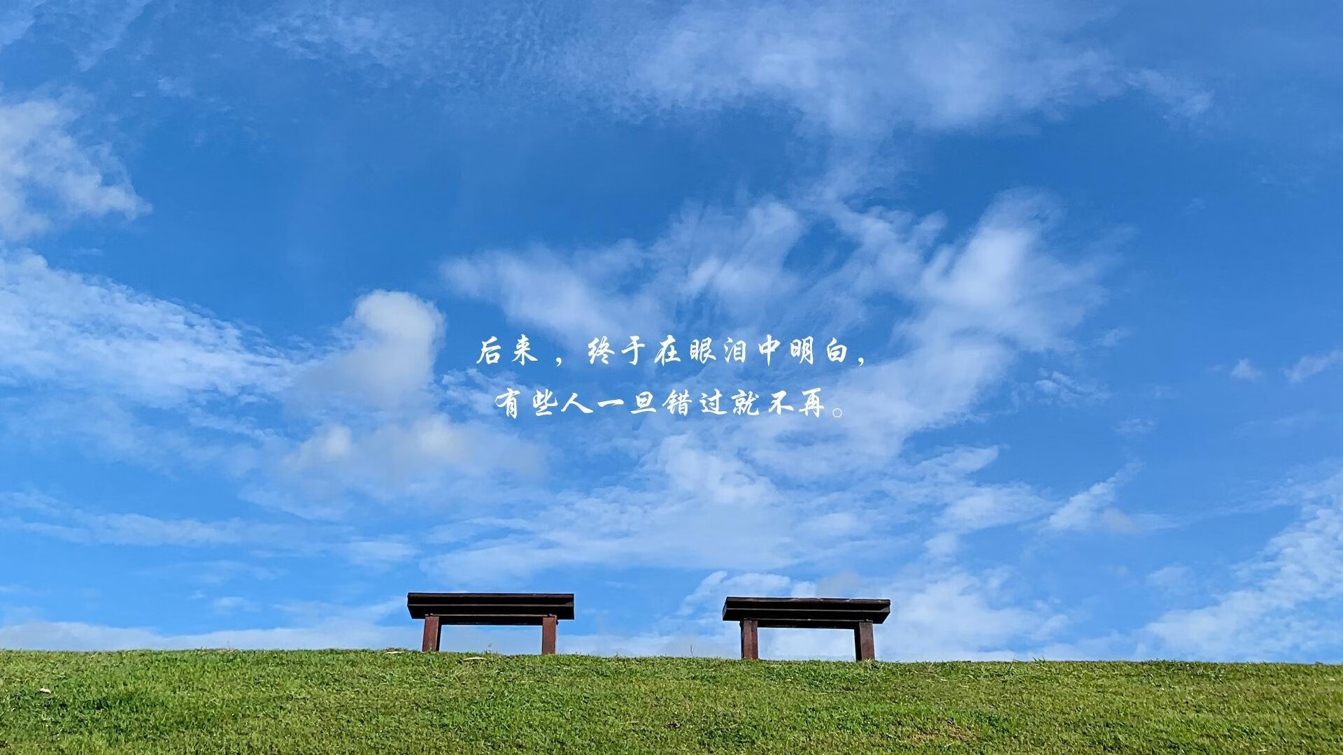 随机巴西举办篮球主题展览，巴西篮球全武行
