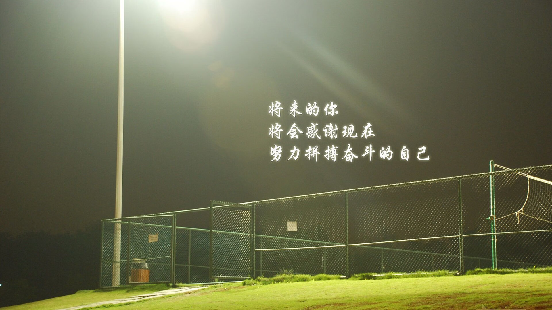 随机巴西马术协会与英国马术协会签署合作协议，共同举办国际马术赛事。