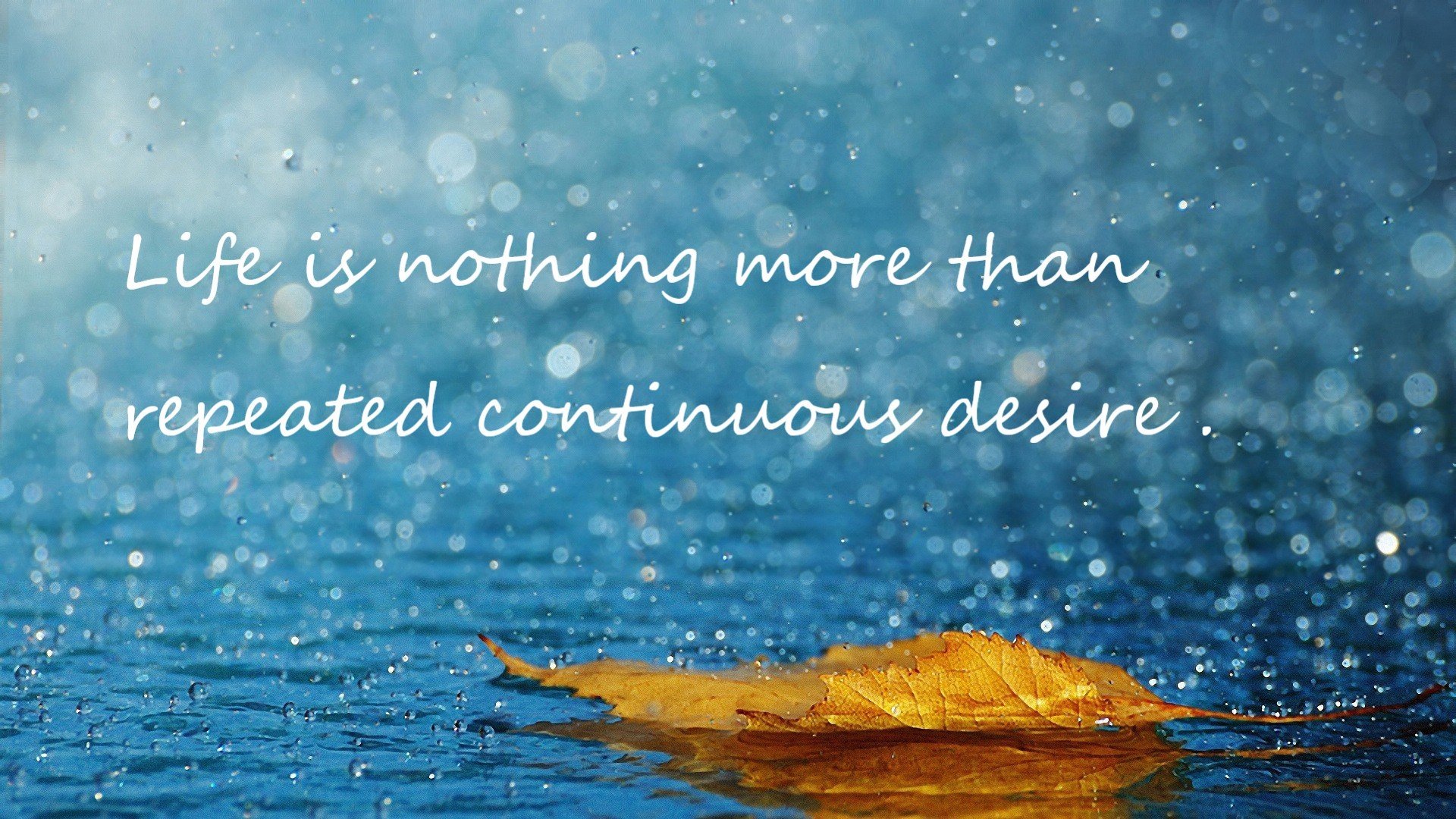 曼联将面对水晶宫的挑战,胜负难料,曼联vs水晶宫延期