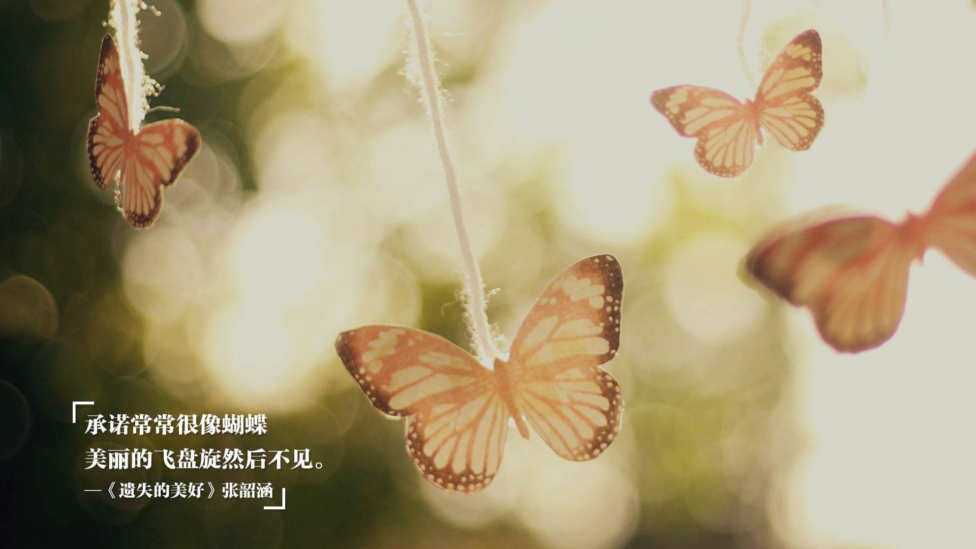 kaiyun体育综合-约基奇继续统治内线掘金高歌猛进，约基奇这几年进步神速啊