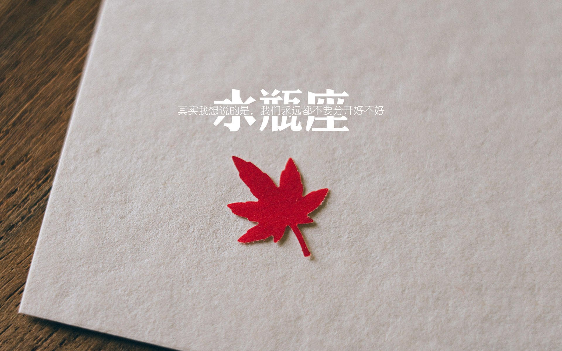 选手训练营启动,职业选手训练营