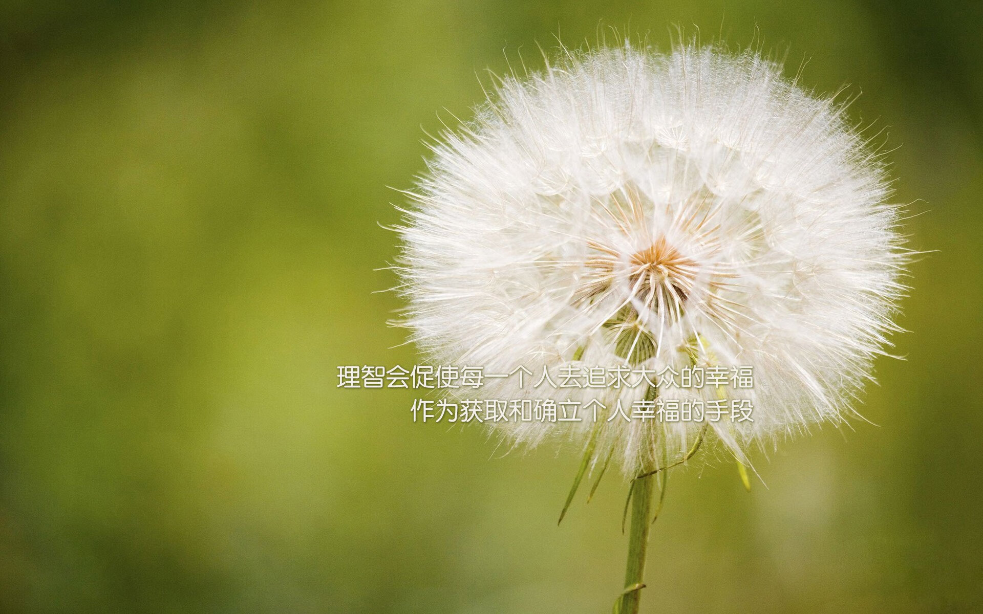 意甲球队视频分析系统提升防守协作效率的实践，意甲防守怎么这么严