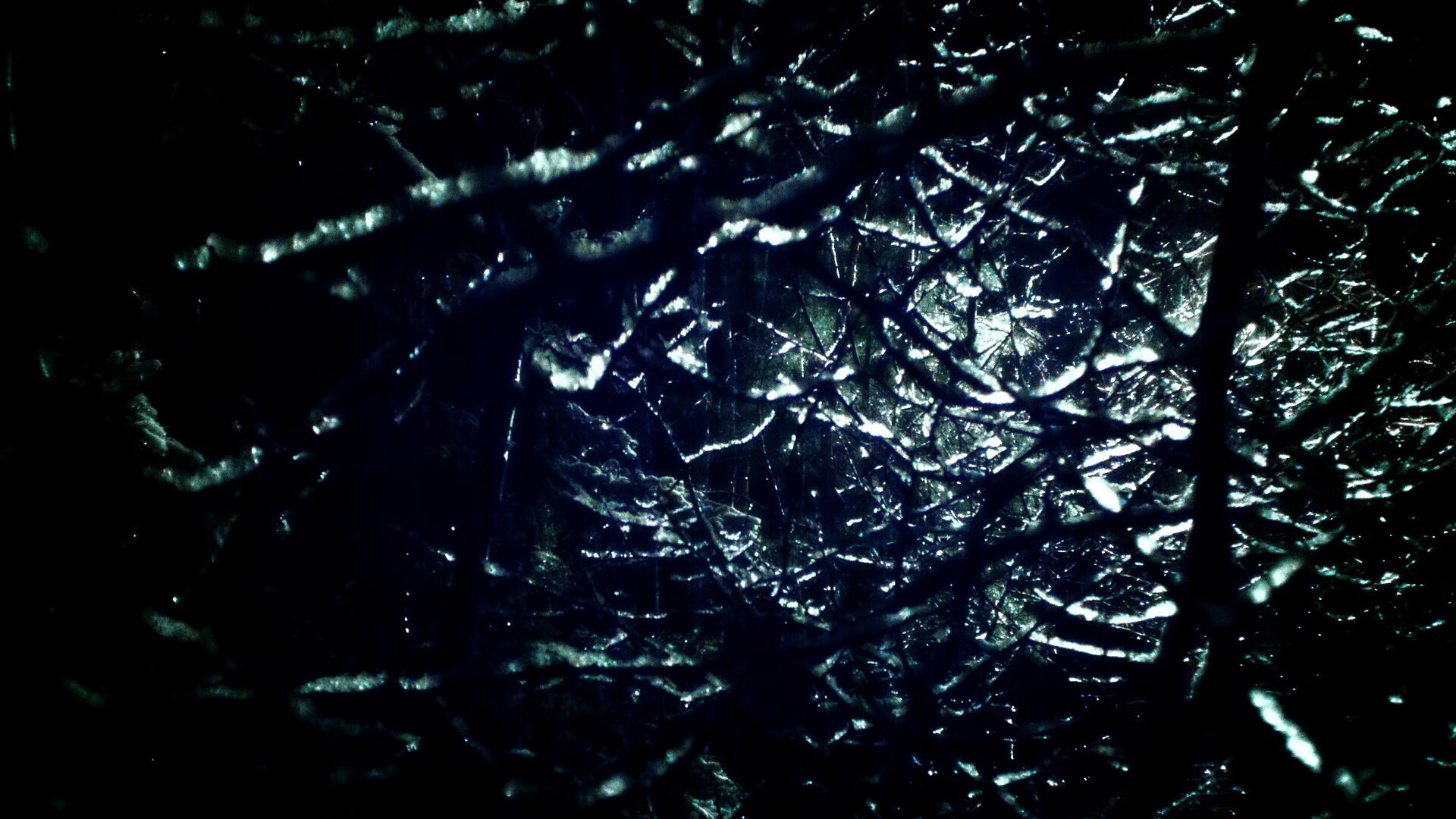 弗拉门戈整体协作默契,进退有序,弗拉门戈历史