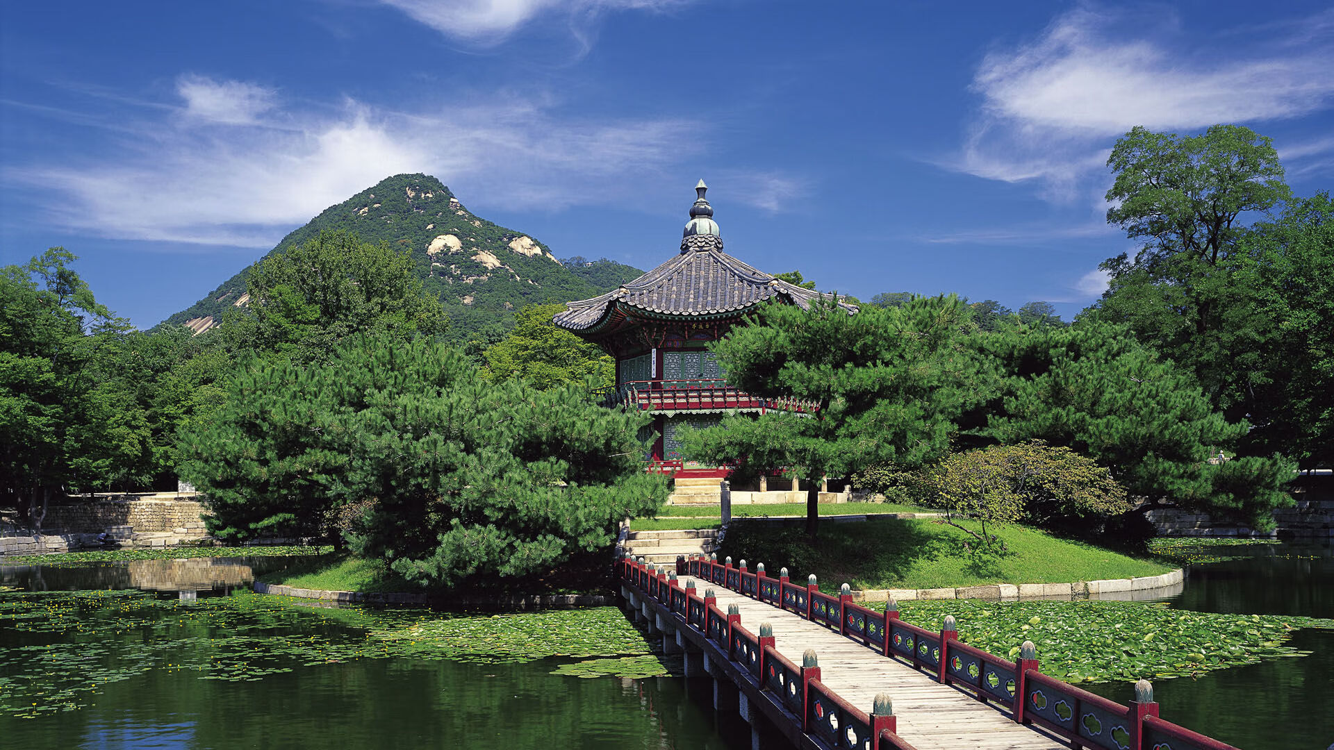 球员伤病恢复机制是否足够专业,受伤球员