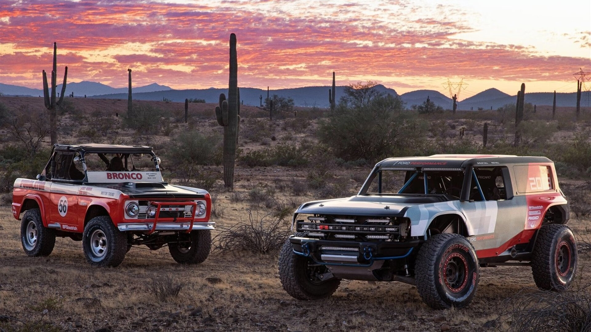 开云官网在线-田径赛季备战训练紧张有序，田径准备运动