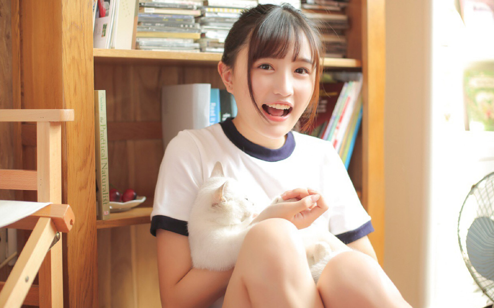 开云官方-自由泳划水节奏与疲劳曲线对照分析，自由泳划水效率提高