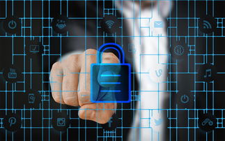 开云全站-马术运动进校园课程体系初步建立，马术走进校园合作方案