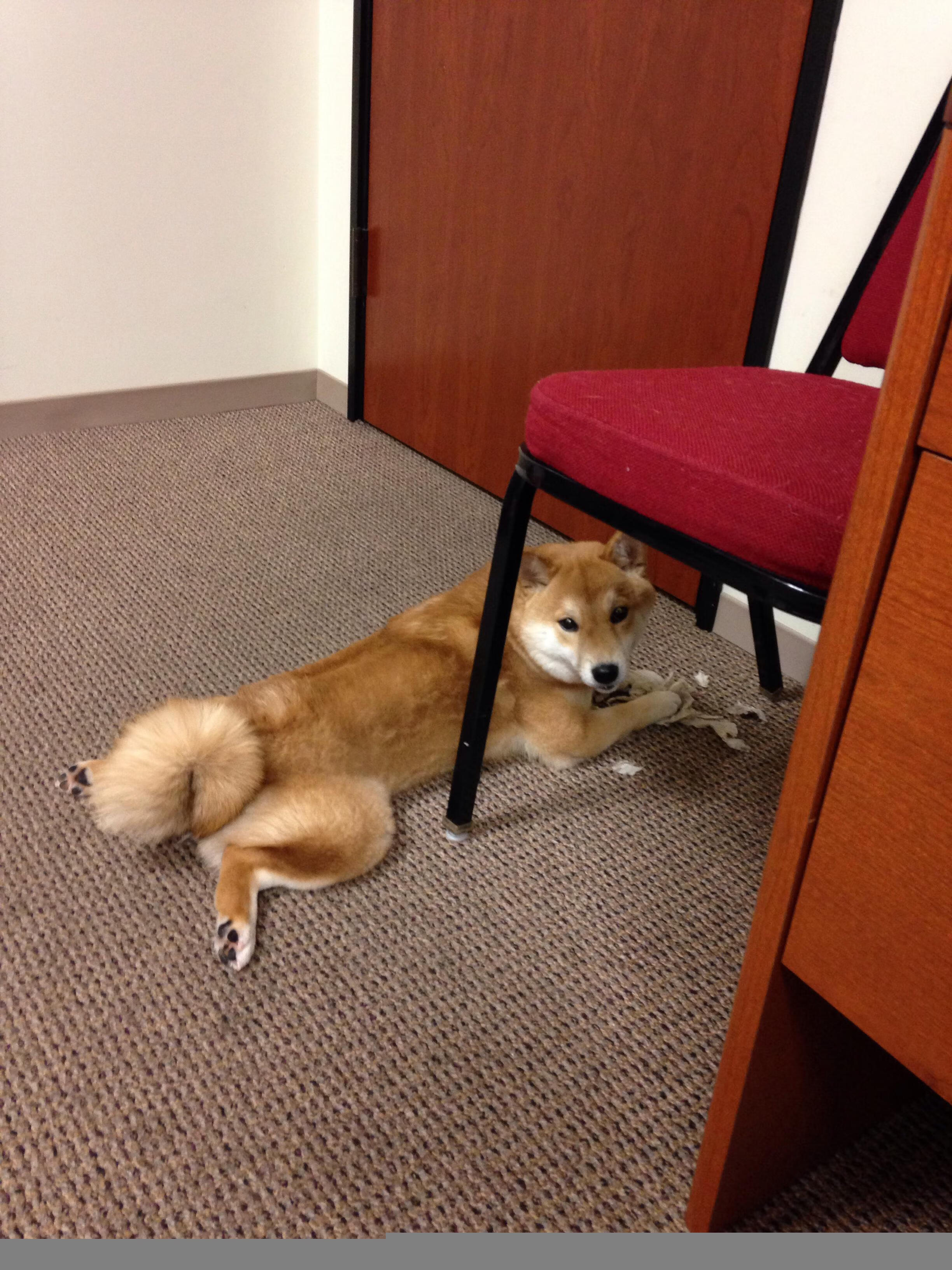 开云网页版-丁俊晖长时间备战力求突破心理瓶颈，丁俊晖局面