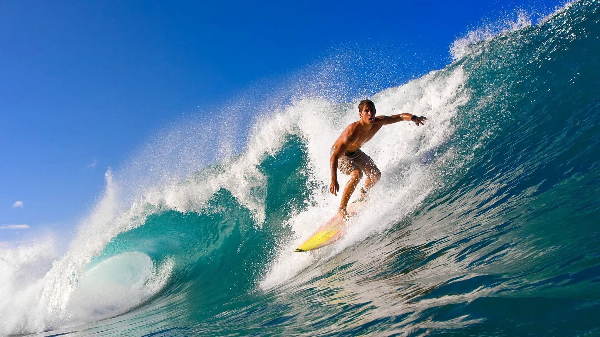 中国男子4×200米自由泳接力展现团队精神,男子4×200米自由泳接力决赛