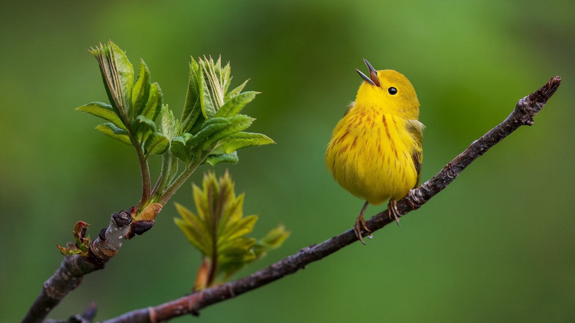 开云官网在线-国际奥委会确认巴黎奥运中国代表团名单，巴黎奥运会中国奖牌榜