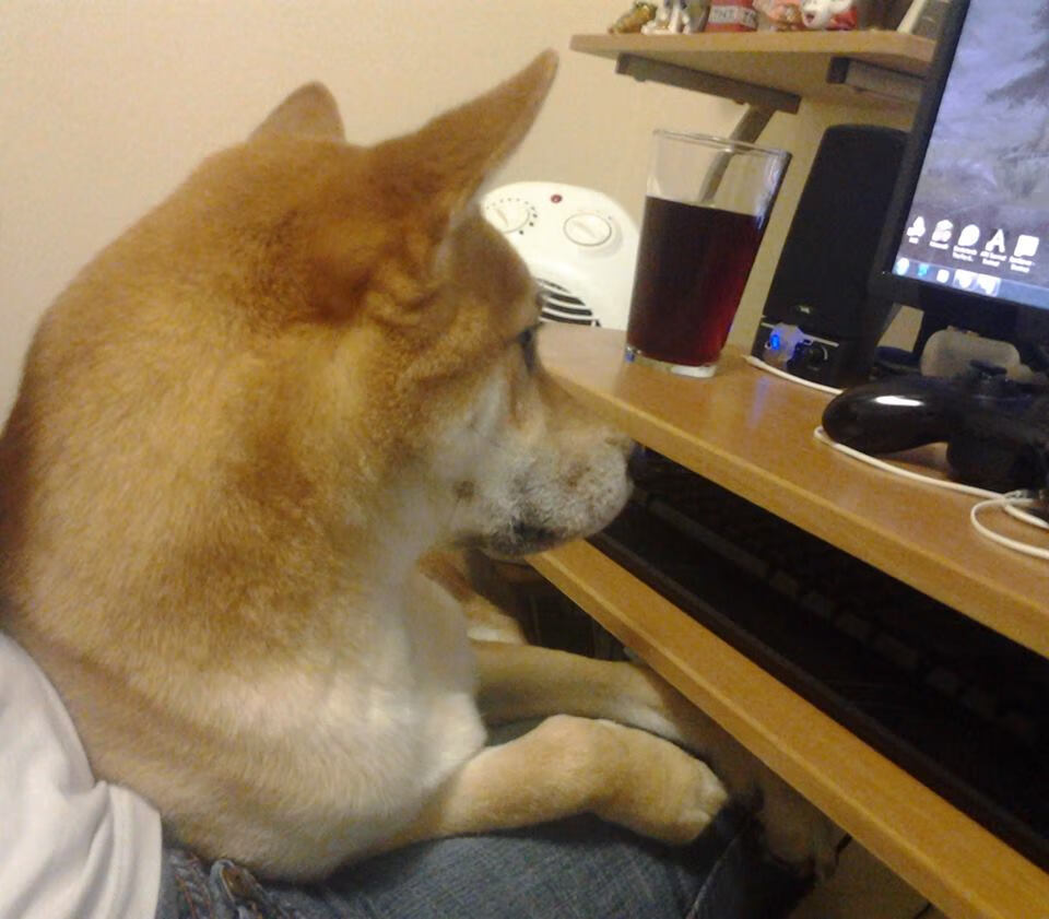 场边助教实时记录比赛数据用于赛后复盘与问题分析，考试场外助攻