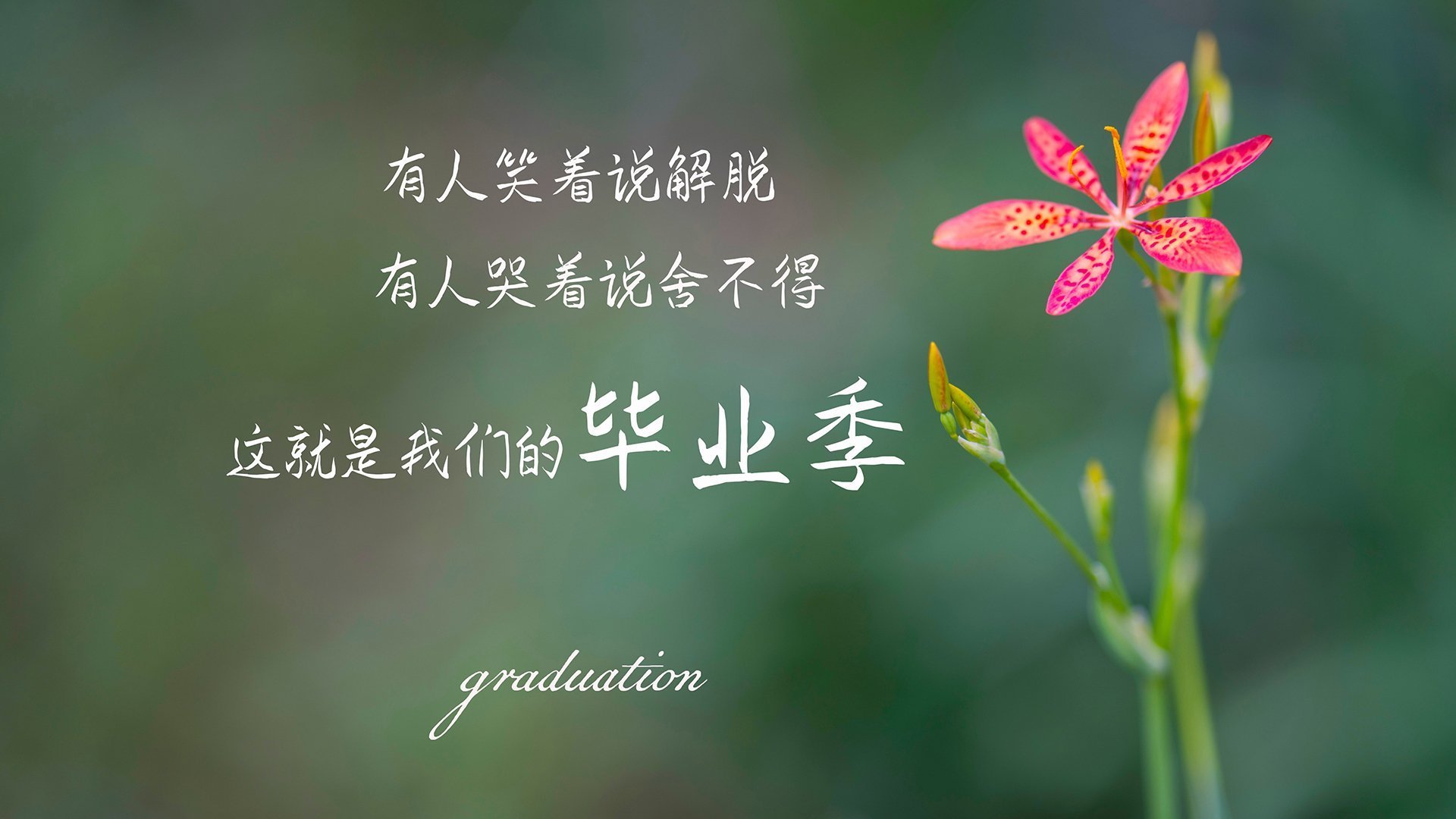 开云平台-奇才主帅强调比赛态度决定结果，奇才主帅离任