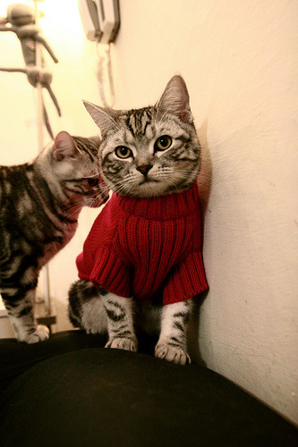 开云在线直播-火箭三分线外手感火热连续命中关键球，火箭连续三分不中