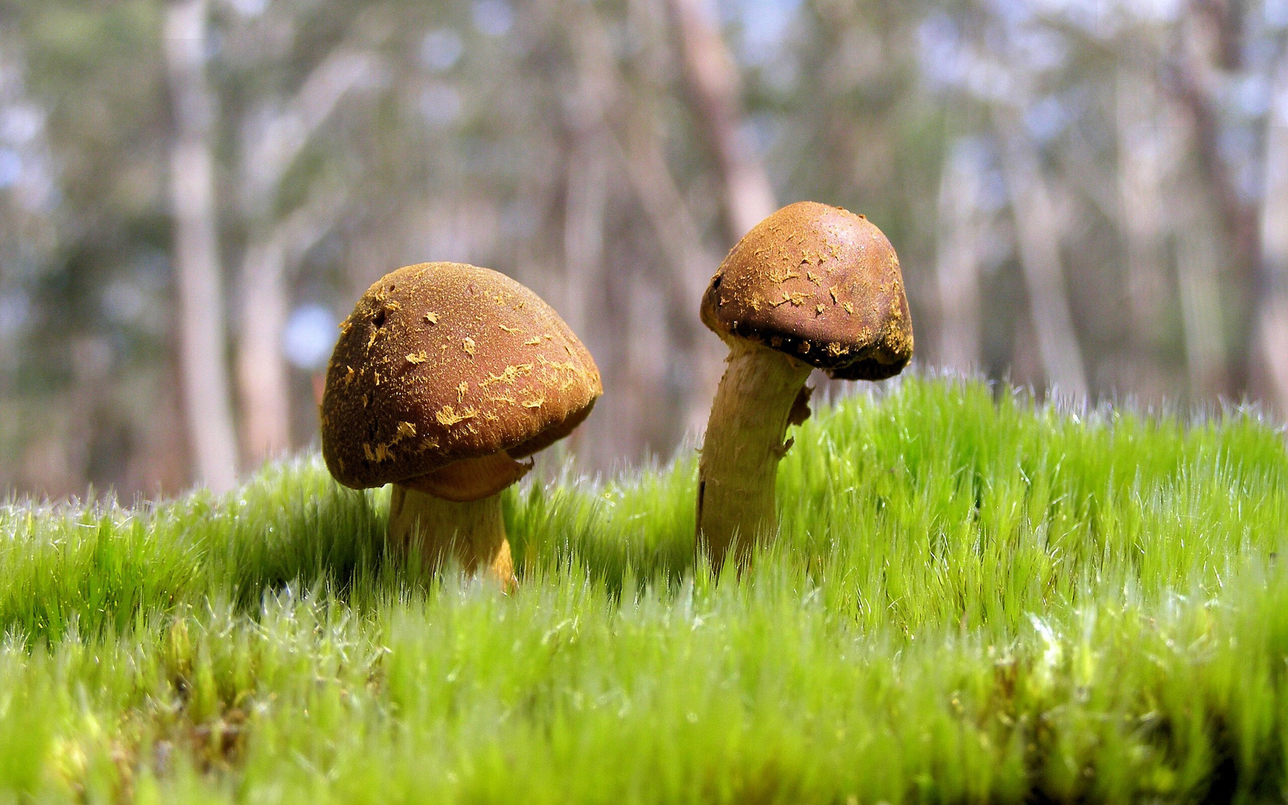 英超终极冲刺:每场都孕育奇迹,英超 满场